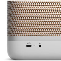 Беспроводная колонка Bang & Olufsen Beolit 20 (серый) - Изображение №7 — Chaika Market