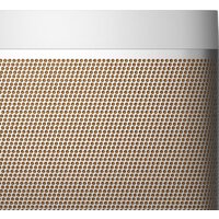 Беспроводная колонка Bang & Olufsen Beolit 20 (серый) - Изображение №8 — Chaika Market