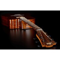 Электроакустическая гитара LAG Tramontane 98 T98DCE - Изображение №5 — Chaika Market