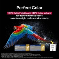 OLED телевизор LG OLED evo AI C5 OLED83C55LA - Изображение №8 — Chaika Market