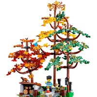 Конструктор LEGO Ideas 21338 Сельский домик - Изображение №9 — Chaika Market