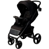 Коляска прогулочная «книга» Rant Alpine 2025 RA450 (черный) — Chaika Market