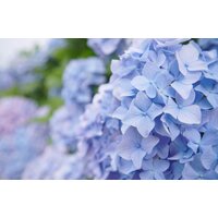Объектив Tokina atx-m 11-18mm F2.8 E для Sony E - Изображение №7 — Chaika Market