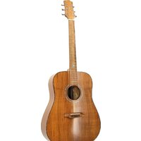 Акустическая гитара Randon RGI-500 — Chaika Market