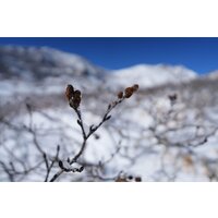 Объектив Sony FE 16-25mm F2.8 G - Изображение №19 — Chaika Market