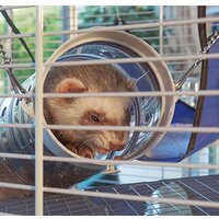 Клетка Ferplast Furet Tower 57063414 - Изображение №5 — Chaika Market