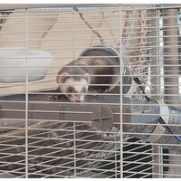 Клетка Ferplast Furet Tower 57063414 - Изображение №11 — Chaika Market