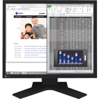 Монитор EIZO FlexScan S1934H (черный) — Chaika Market