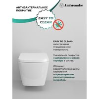 Унитаз подвесной Ambassador Kingston 143K19003RS - Изображение №8 — Chaika Market