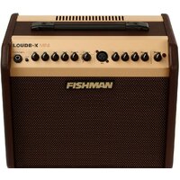 Комбик Fishman Loudbox Mini - Изображение №2 — Chaika Market