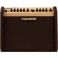 Комбик Fishman Loudbox Mini - Изображение №1 — Chaika Market