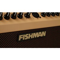 Комбик Fishman Loudbox Mini - Изображение №7 — Chaika Market