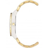 Наручные часы Anne Klein 3910WTGB - Изображение №2 — Chaika Market