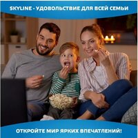 Телевизор Skyline 40LST6385 - Изображение №8 — Chaika Market