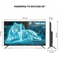 Телевизор Skyline 40LST6385 - Изображение №10 — Chaika Market