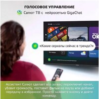 Телевизор Skyline 40LST6385 - Изображение №11 — Chaika Market