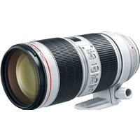 Объектив Canon EF 70-200mm f/2.8L IS III USM - Изображение №2 — Chaika Market