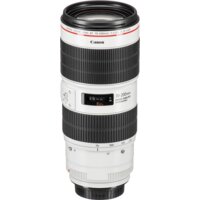 Объектив Canon EF 70-200mm f/2.8L IS III USM - Изображение №4 — Chaika Market