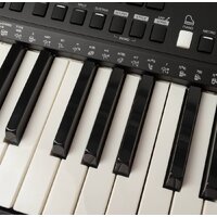 Синтезатор Rockdale Premiere 2 - Изображение №10 — Chaika Market