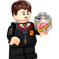 Конструктор LEGO Harry Potter 76395 Хогвартс: первый урок полетов - Изображение №13 — Chaika Market
