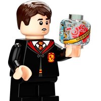 Конструктор LEGO Harry Potter 76395 Хогвартс: первый урок полетов - Изображение №16 — Chaika Market