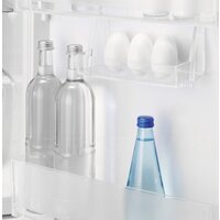 Однокамерный холодильник Electrolux LRB3DE18S - Изображение №4 — Chaika Market