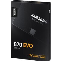 SSD Samsung 870 Evo 250GB MZ-77E250BW - Изображение №8 — Chaika Market