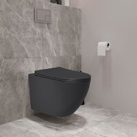 Унитаз подвесной Lauter Augsburg 21109EC + 21901002 (кнопка узкая, черный) - Изображение №12 — Chaika Market