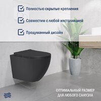 Унитаз подвесной Lauter Augsburg 21109EC + 21901002 (кнопка узкая, черный) - Изображение №8 — Chaika Market