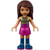 Конструктор LEGO Friends 41368 Шоу талантов - Изображение №11 — Chaika Market