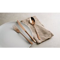 Набор столовых приборов Sambonet Taste 52553C81 - Изображение №3 — Chaika Market