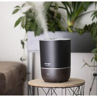 Увлажнитель воздуха Concept ZV1210 (чёрный) - Изображение №5 — Chaika Market