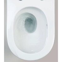 Унитаз подвесной Roxen Vortex в комплекте с инсталляцией StounFix Dual Fresh 6 в 1 968489 (кнопка: сатин) - Изображение №11 — Chaika Market