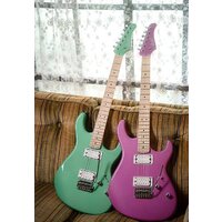 Электрогитара Cort G250 Spectrum MPU - Изображение №5 — Chaika Market