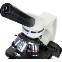 Микроскоп Levenhuk Discovery Atto Polar с книгой 77989 - Изображение №9 — Chaika Market