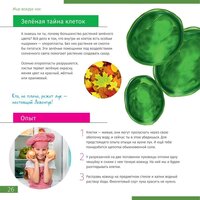 Микроскоп Levenhuk Discovery Atto Polar с книгой 77989 - Изображение №5 — Chaika Market