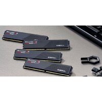 Оперативная память G.Skill Ripjaws S5 2x48ГБ DDR5 5200 МГц F5-5200J4040A48GX2-RS5K - Изображение №5 — Chaika Market