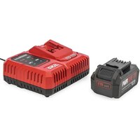 Аккумулятор с зарядным устройством Skil CB5196SE12 (20В/4 Ah + 20В) — Chaika Market