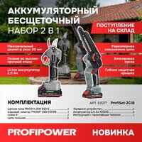  Profipower ProfiSet-2G20 E0217 (цепная пила, секатор, 2 АКБ) — Chaika Market