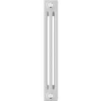 Стальной трубчатый радиатор Royal Thermo Insignia C3050 - 14 секций RAL9016 - Изображение №2 — Chaika Market