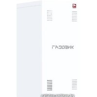 Отопительный котел Лемакс Газовик АОГВ-23.2 — Chaika Market
