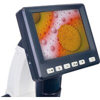 Микроскоп Levenhuk Discovery Artisan 128 78162 - Изображение №5 — Chaika Market