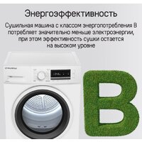 Сушильная машина MAUNFELD MFDM168WHE - Изображение №30 — Chaika Market