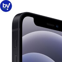 Смартфон Apple iPhone 12 mini 64GB Восстановленный by Breezy, грейд B (черный) - Изображение №2 — Chaika Market