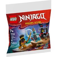 Конструктор LEGO Ninjago 30700 Битва Арина с Драконианцем — Chaika Market