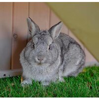 Клетка Ferplast Ranch 100 Basic 57090011 - Изображение №9 — Chaika Market