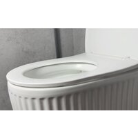 Унитаз подвесной Roxen StounFix Dual Fresh 968291 - Изображение №9 — Chaika Market