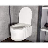 Унитаз подвесной Roxen StounFix Dual Fresh 968291 - Изображение №12 — Chaika Market