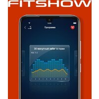 Электрическая беговая дорожка Titanium Masters Slimtech C10 (коричневый) - Изображение №17 — Chaika Market