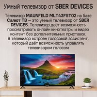 Телевизор MAUNFELD MLT43FST02 - Изображение №11 — Chaika Market